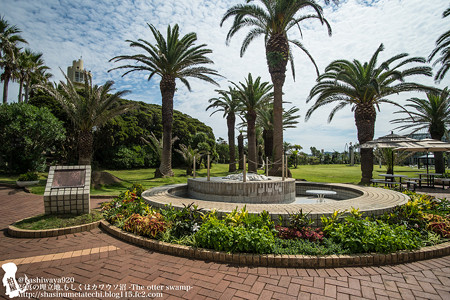 alohagarden140915003