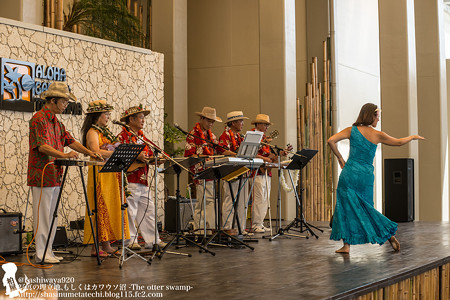 alohagarden140915004
