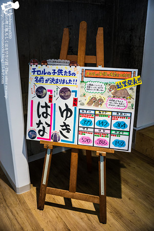 inawashiro160123003