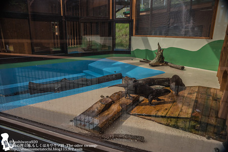 oouchiyama1507120006