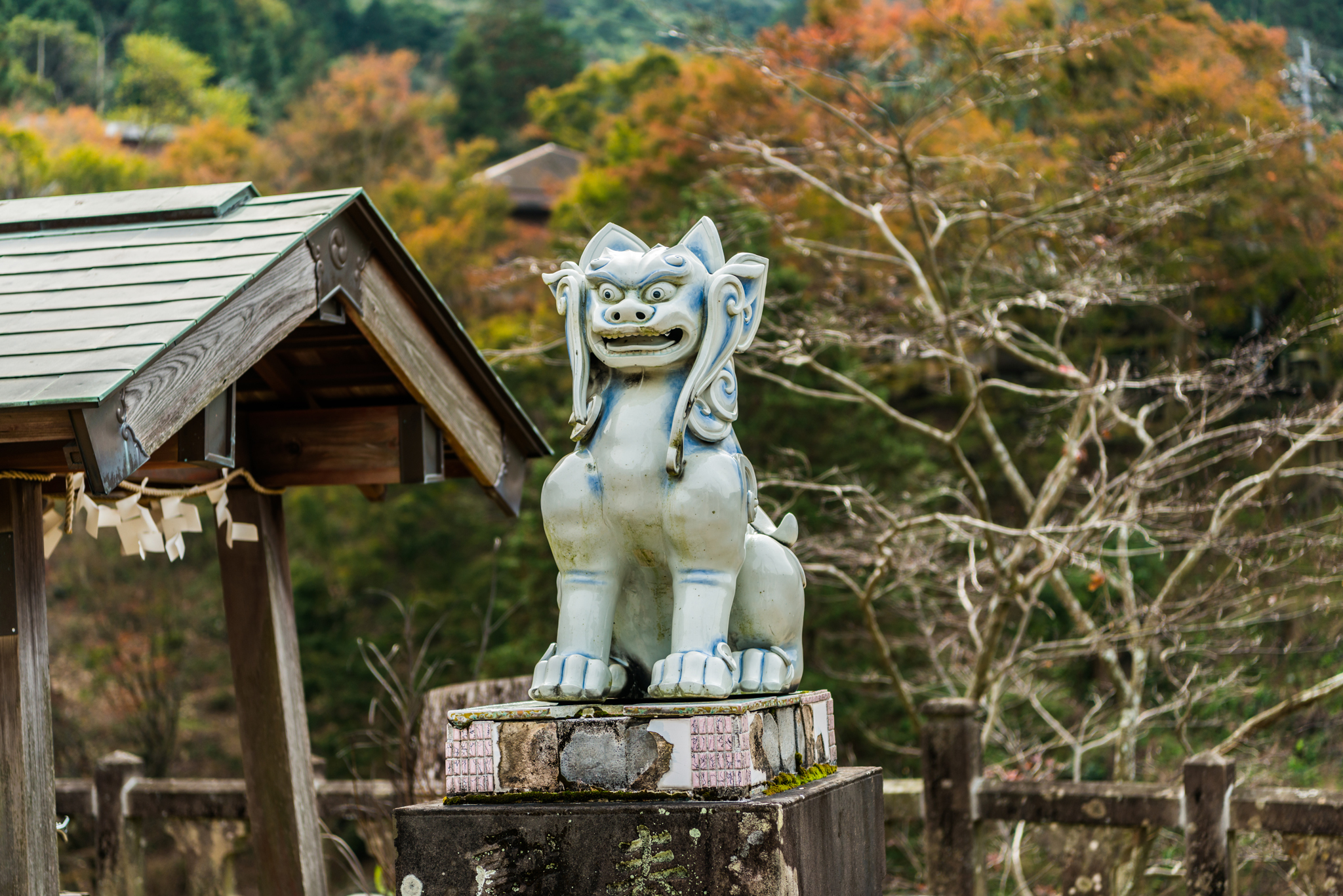 狛犬@陶山神社
