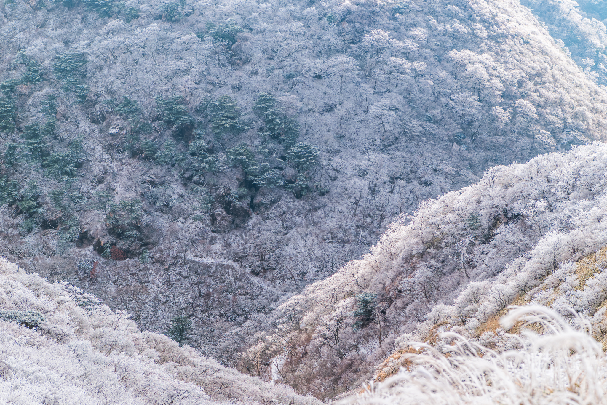 鬼人谷を見下ろす