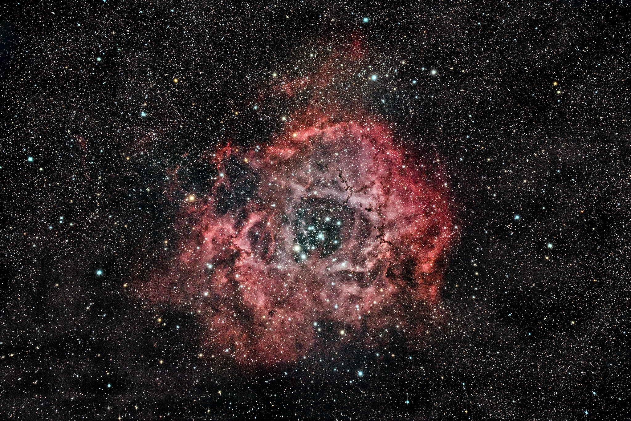 C49_2016.01.16