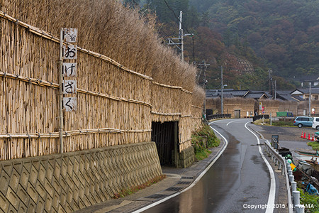大沢風景