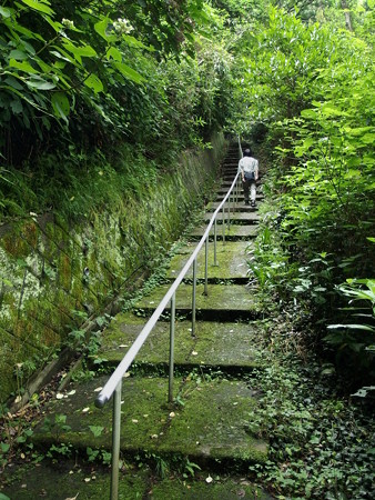 淡島神社 参道