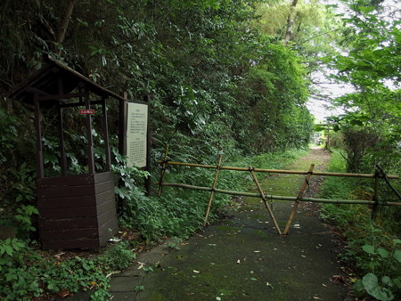 お中道 ロープウェイ乗り場への分岐