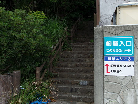 淡島釣堀奥からお中道への入口