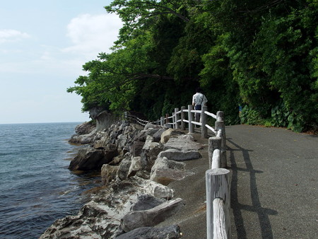 淡島海岸遊歩道