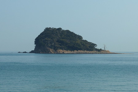 野奈浦桟橋から眺める神島