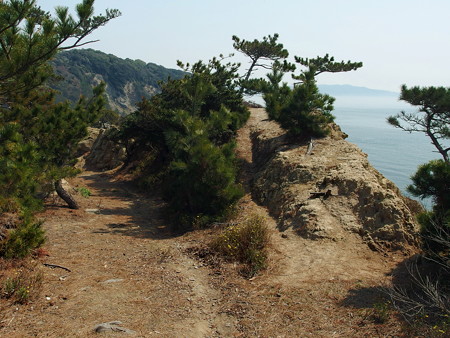 虎島へ続く道