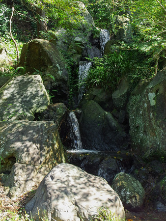 安養寺の小川