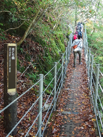 寸又峡 木こり橋