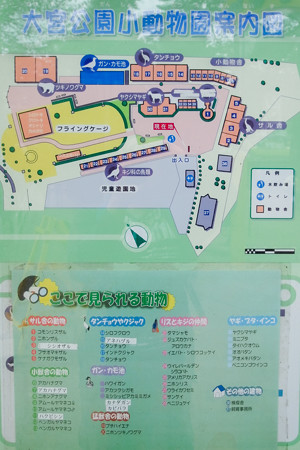 大宮公園小動物園案内図