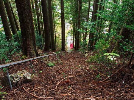 外森神社の社から見下ろす参道