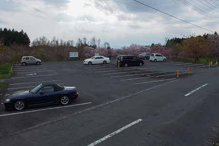 富士山さくらの園 駐車場
