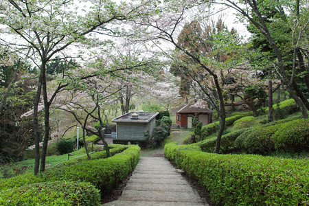 天母山自然公園