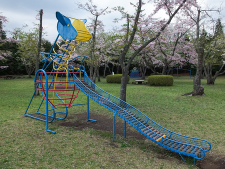 天母山自然公園 カンガルースベリ台