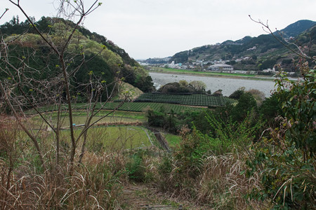 明星山登山道から眺める富士川