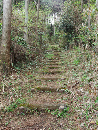 明星山登山道