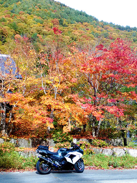 P_20151101_131254 せせらぎ街道 写真: P_20151101_131254 せせらぎ街道