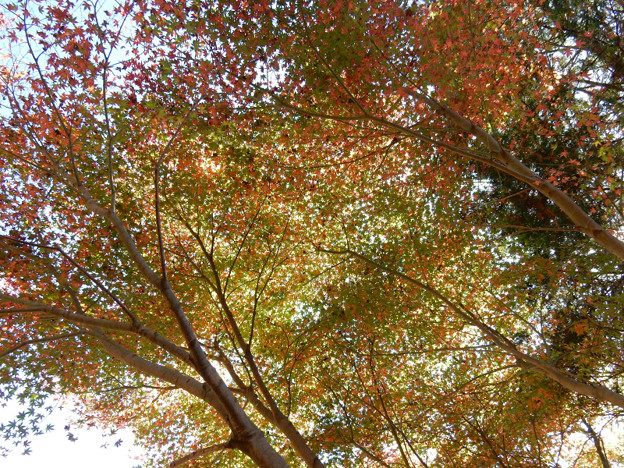 DSCN0090 三河湖1 写真: DSCN0090 三河湖1