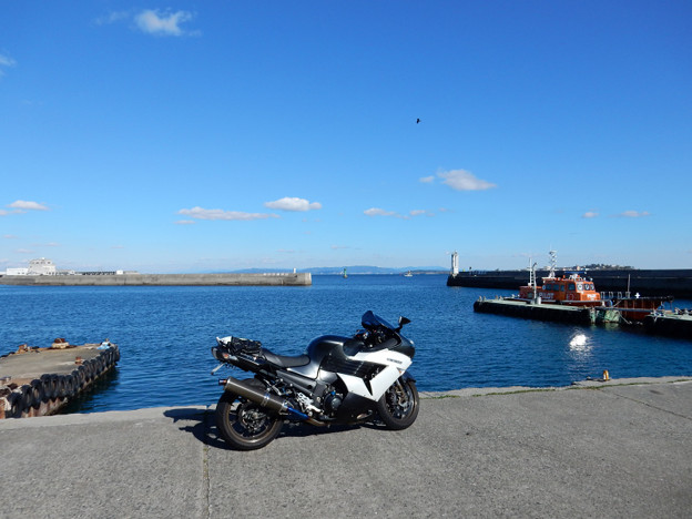 DSCN0322 船着き場沿いにて 写真: DSCN0322 船着き場沿いにて