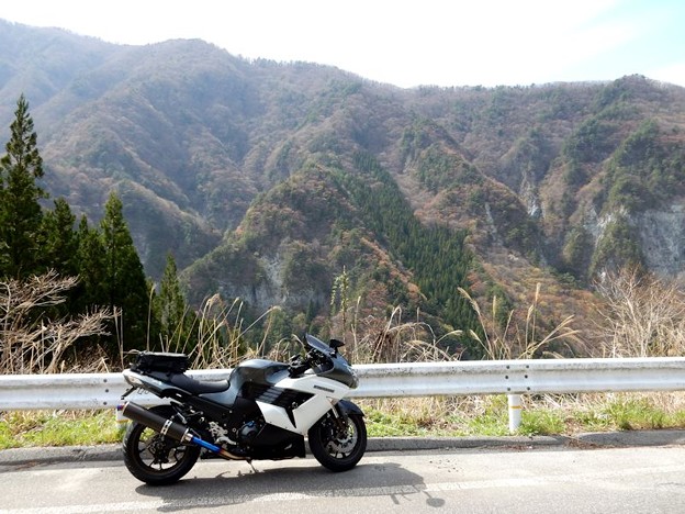 DSCN0517 ヒョー越林道 写真: DSCN0517 ヒョー越林道