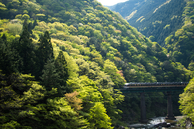 新緑をゆく気動車その1