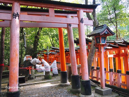 京都伏見稲荷2014年05月04日_P5040713