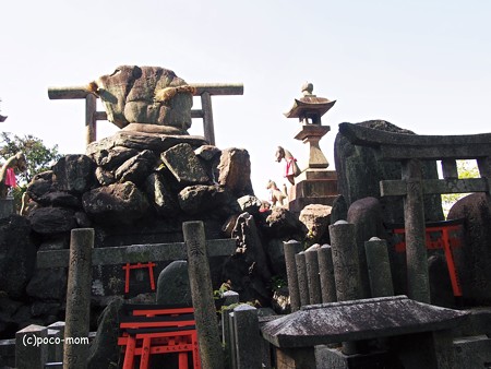 京都伏見稲荷2014年05月04日_P5040735
