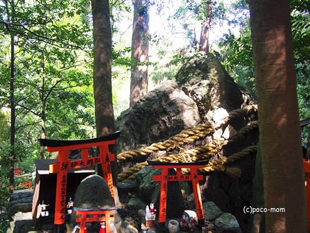 京都伏見稲荷2014年05月04日_P5040761