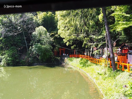 京都伏見稲荷 新池2014年05月04日_P5040791