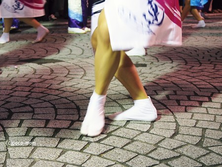 三鷹阿波踊り2014年08月31日_P8310586