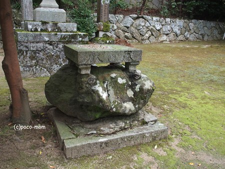 雷山雷神社 PA120374