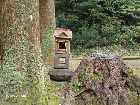 雷山雷神社 中宮 PA120386