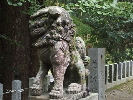 雷山雷神社 狛犬 PA120389
