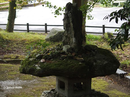 雷山雷神社 PA120394