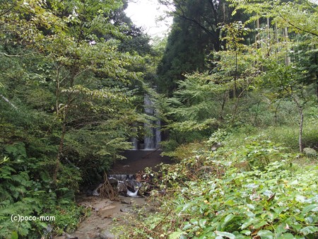 雷山雷神社 金白龍神と白蛇石 PA120399