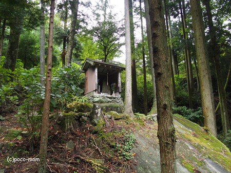 雷山雷神社 金白龍神と白蛇石 PA120400