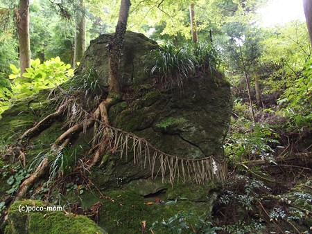 雷山雷神社 金白龍神と白蛇石と磐座PA120406