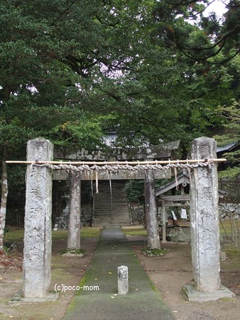 雷山雷神社 PA120412