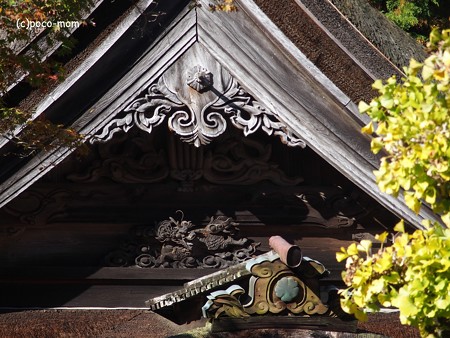 光台院 本堂破風飾りPB030552