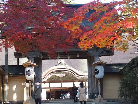 金剛峯寺 PB030590