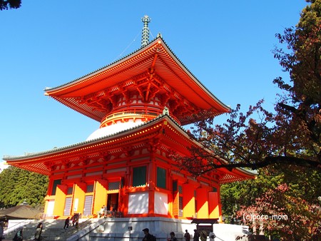 高野山根本大塔 PB030617