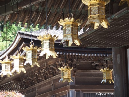高野山根本大塔 御影堂 PB030631