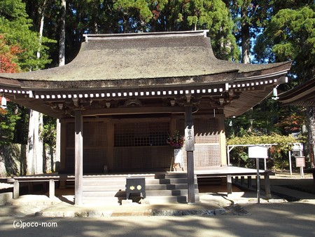 高野山根本大塔 孔雀堂PB030641
