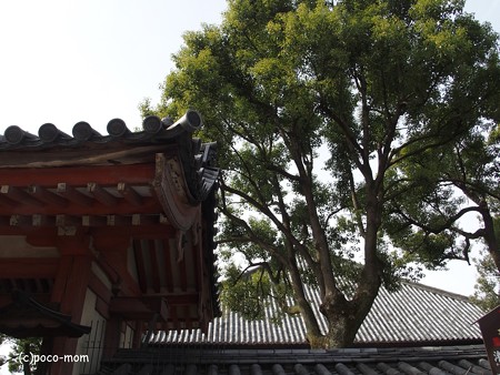 東寺灌頂院