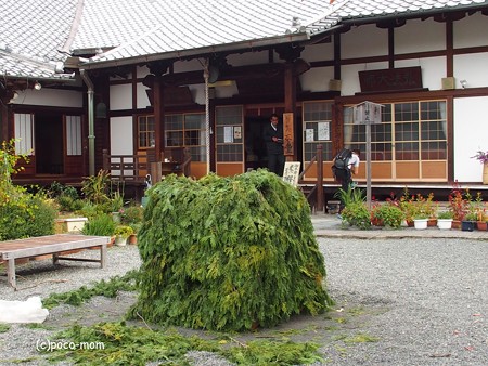 泉涌寺塔頭 戒光寺 PB010148