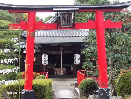 泉涌寺塔頭 戒光寺 PB010150