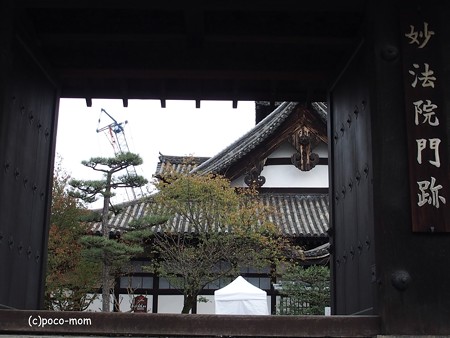 三十三間堂本坊妙法院 普賢菩薩 PB010159